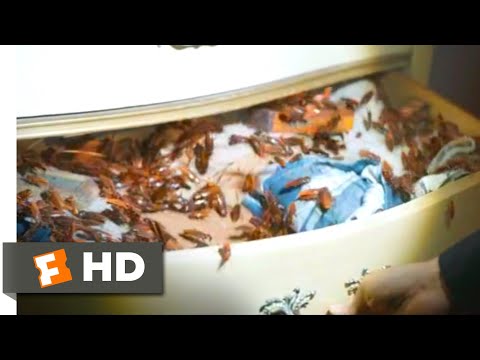 ボディカム (2020) - ゴキブリに侵されたアパートのシーン (4/10) ｜Movieclips (Body Cam (2020) - Roach-Infested Apartment Scene (4/10) | Movieclips)