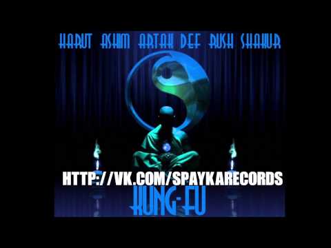 Harut Ashim Artak Def Rush Shakur - The Dark Side of Kung Fu (remix by Lion Bro)