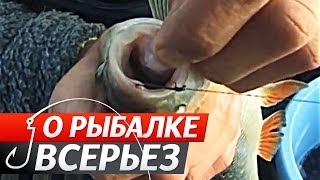 Ловля щуки в украине летом на живца поздней