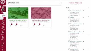 Getting Started with Canvas