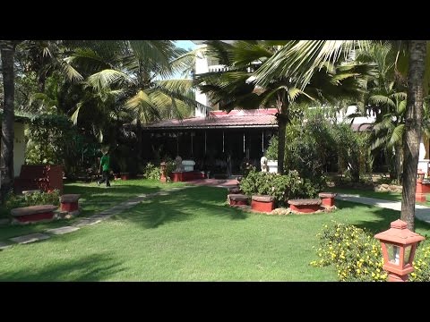 Территория Joecons beach resort днём