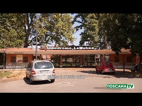 2018-07-24 FIRENZE - SGOMBERATO IPPODROMO LE MULINA