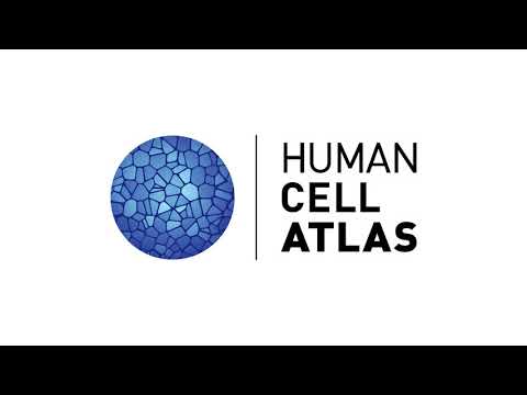 HCA General Meeting 2021 (virtual) - Covid-19 Session