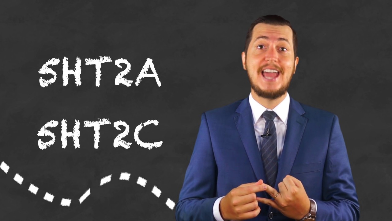 Luiz Henrique Junqueira Dieckmann-26