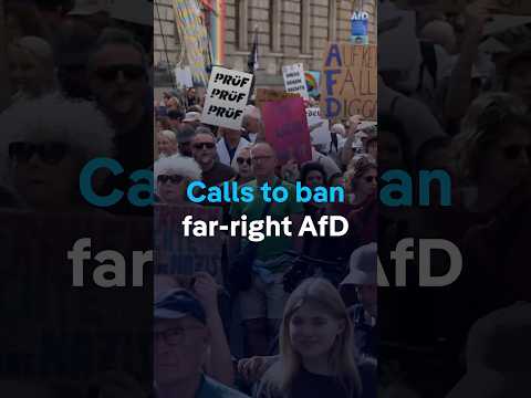 Calls to ban far-right AfD | DW News