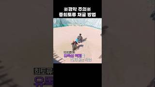 중희토류 채굴의 민낯