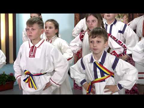 Formatia de dansuri Apateana - Dans local