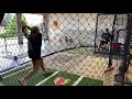 Sophia vanderSommen - Cage Hitting, May 2020