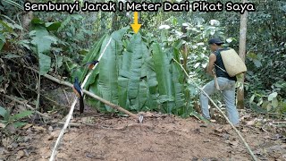 Download lagu LANGSUNG 2 EKOR MURAI BATU MENDARAT DI PULUT || CUMA MIKAT DI PINGGIR JALAN mp3