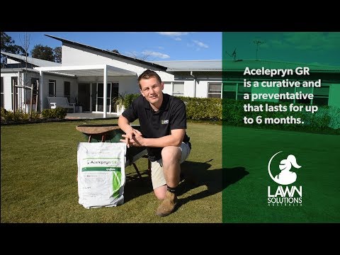 download lagu mp3 mp4 Oxafert Bunnings, download lagu Oxafert Bunnings gratis, unduh video klip Oxafert Bunnings