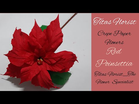 Red Poinsettia|Crepe Paper flowers|Titas Florist|#V_17