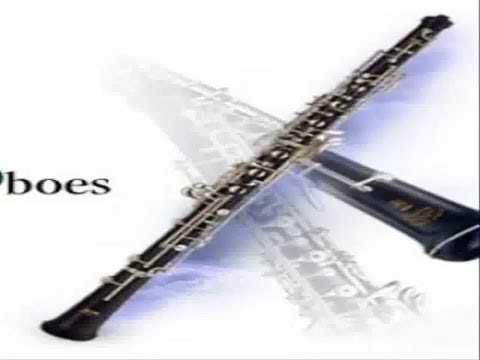 How To Play The Oboe In One Easy Lesson!
