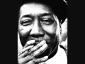 Muddy Waters - Champagne and Reefer [HQ]