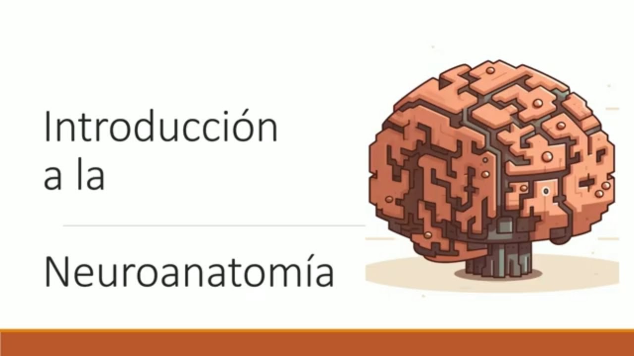 Introducción a neuroanatomía