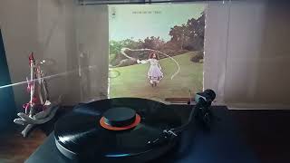 Trees - Murdoch