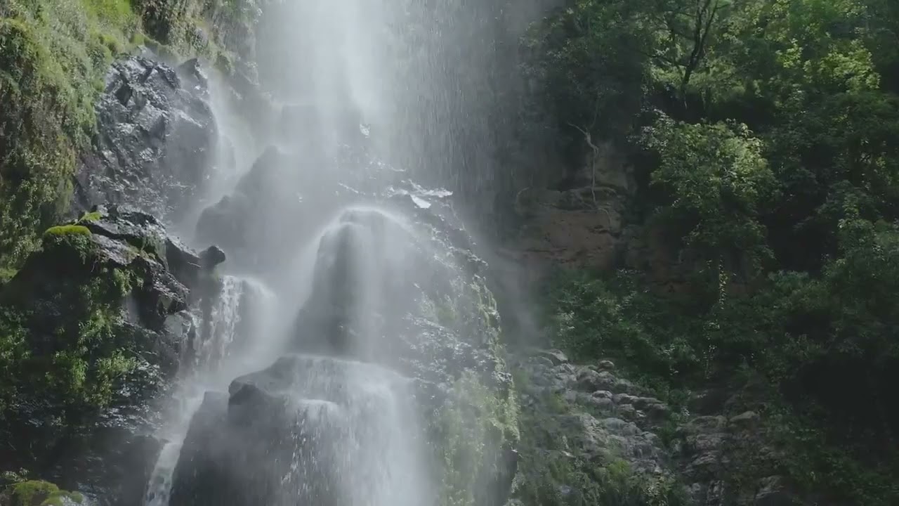 Single Video thumbnail