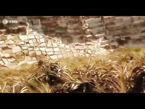 Terra X Faszination Erde Die Quellen des Amazonas 2014 - (NEU) | Doku 2014 in HD | Dokumentation