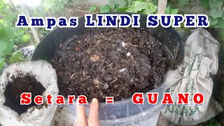 Download lagu 3 Cara MANFAATKAN AMPAS LINDI SUPER mp3