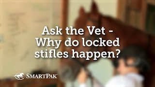 Ask the Vet - Why do locked stifles happen?