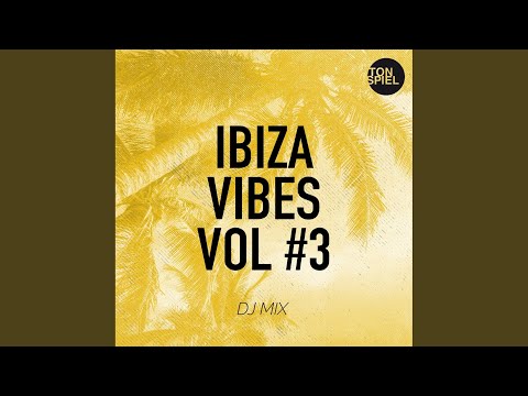 You Gotta Feel (Extended Mix) (Mixed)