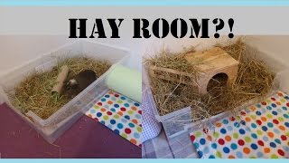 Guinea Pigs Cages:  HOW TO Make Your Own Hay Room! | Squeak Dreams