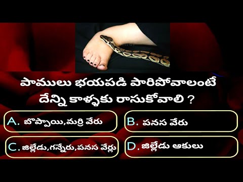 Unique general knowledge Telugu questions with answers #Ep22 | Telugu quiz| Gk quiz