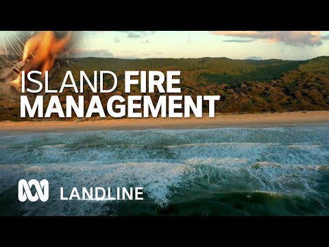 Fighting Fire with Fire Combining traditional and modern burning techniques ABC Australia