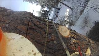 preview picture of video 'Big Pine takedown in Spokane'