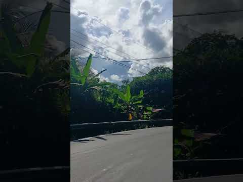 #naturalezafascinante #bocasdeltoro #paisajesdeensueño #pueblosindigenas