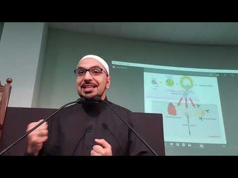 Islam and Organ Donation, Stem Cells and Euthanasia. Muharram 1440/2018. Dr. Ali Al-Hilli