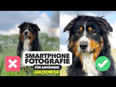 Tiere fotografieren mit Iphone/Samsung 📸 Smartphone Fotografie Kurs 14 | Jaworskyj