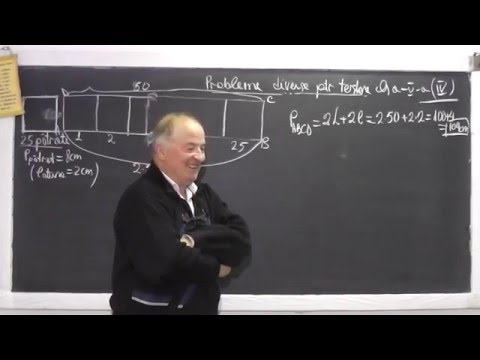 1/2 Lectia 921 Probleme testare adm. cls 5 Probleme de numarare Perimetrul patrat dreptunghi Clasa 4