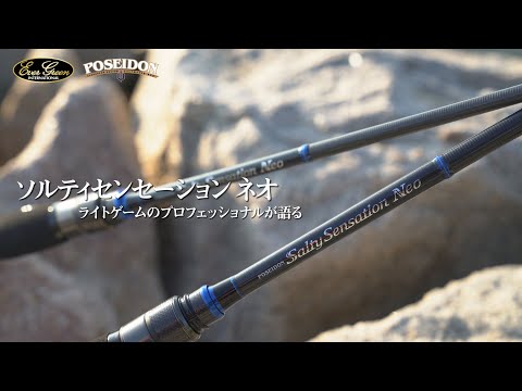 Lanseta EverGreen Salty Sensation Neo NEOS-77ML 2.31m 0.5-10g