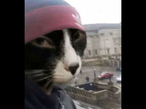 Jody 6 Feat Marian - Hold Onto Me  (2020)