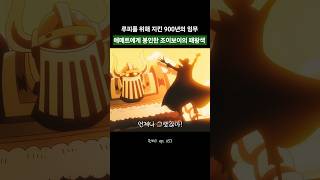 루피를 위해 지킨 900년 전 조이보이의 패왕색