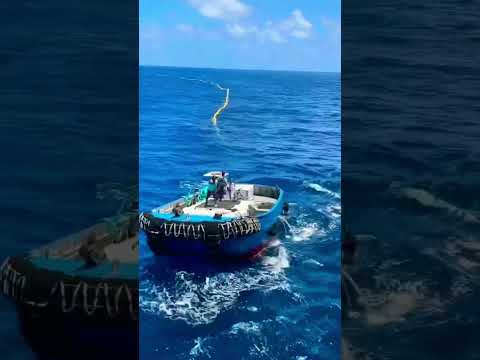 Thumbnail for Un día cualquiera en el Pacific Star #pesca #barco #tuna #ocean