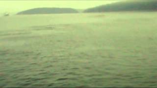 Wickerbird - The Harbor