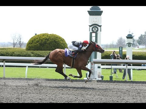 Stop Charging Maria @ Three Chimneys Farm in Versailles, KY