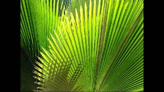 Download lagu Idaman Penuntut siri 002 (12.08.2018) - UWJ@Terengganu FM mp3 Download lagu Idaman Penuntut siri 002 (12.08.2018) - UWJ@Terengganu FM mp3