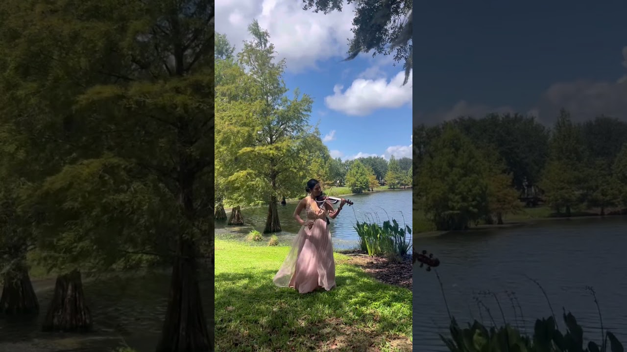 Promotional video thumbnail 2 for Laurens Signature Music