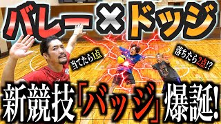 【新競技】バレーボールとドッジボールを組み合わせた新競技バッジボールが面白すぎて革命wwww