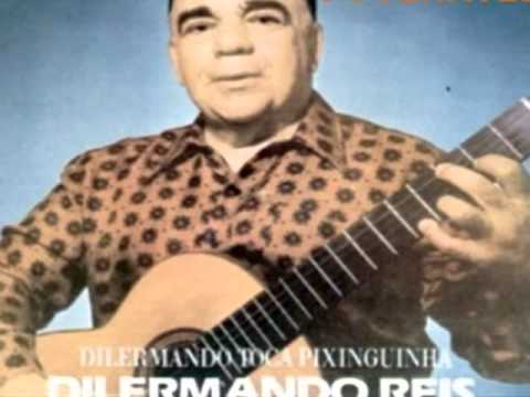 MINHA SELEÇÃO DILERMANDO REIS