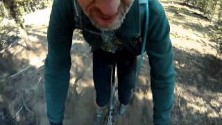 2011-10-25 Burning Flies