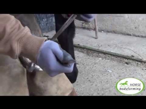 Huforthopädie "Fallbeispiel Jeannette"