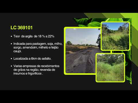 LC 369101 - FAZENDA A VENDA - REGIÃO DE NOVA MARINGA - MATO GROSSO