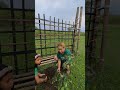 For Future Generation Orangetree ️
