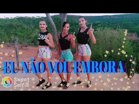 Eu Não Vou Embora DJ Zullu, Anita e MC G15