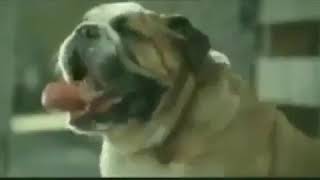 Download lagu Vidio lucu durasi pendek, no caption mp3 Download lagu Vidio lucu durasi pendek, no caption mp3