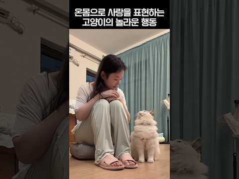 온몸으로 사랑표현해 주는 냐옹이