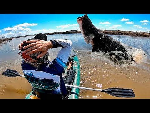 HOW DID GIANT ARARUCUS INVADE THE RIVERS OF SÃO PAULO?